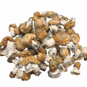 Bluey Vuitton Dried Magic Mushrooms | Luxury